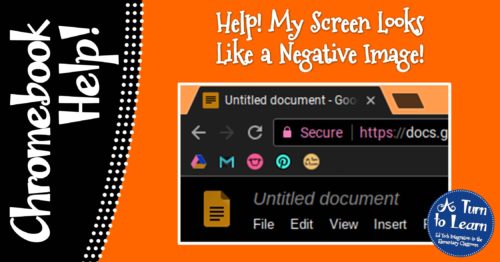 Chromebook Help - Screen Looks Like a Negative Image