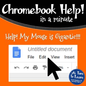 Help! Fix My Chromebook… My Screen Looks Like a Negative Image! • A Turn to  Learn